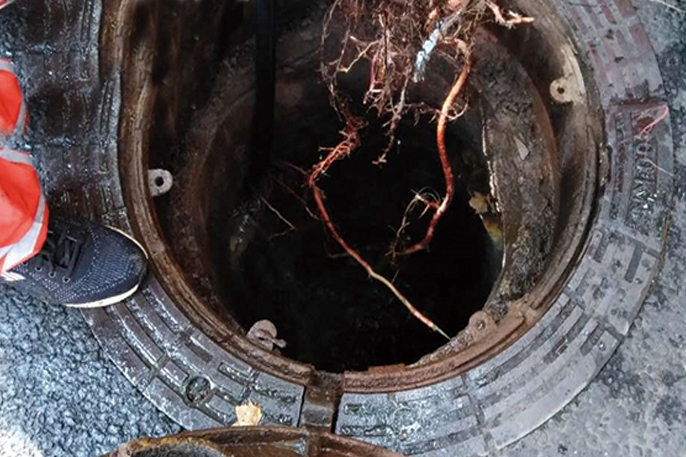 大悟管道预处理